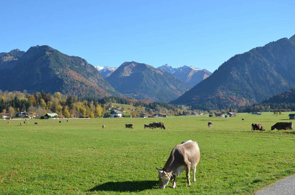 Hotel Cafe Fuggerhof 奥伯斯特多夫 外观 照片